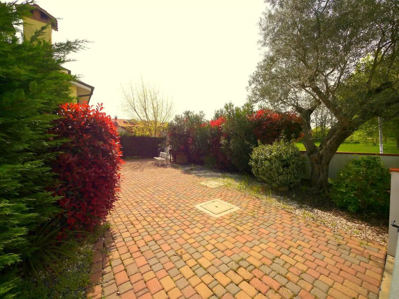 Villa Fiori Dalia 利多波波萨